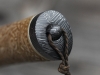 TANNDHIR