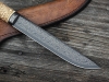TANNDHIR