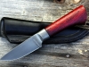 bloodnvine-1