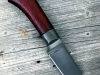 bloodnvine-2