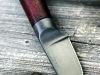 bloodnvine-3