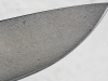 bloodnvine-7