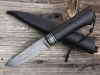 CORVUS