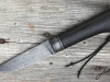 CORVUS