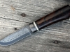 dzur-3