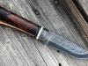 dzur-4
