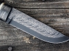 dzur-9